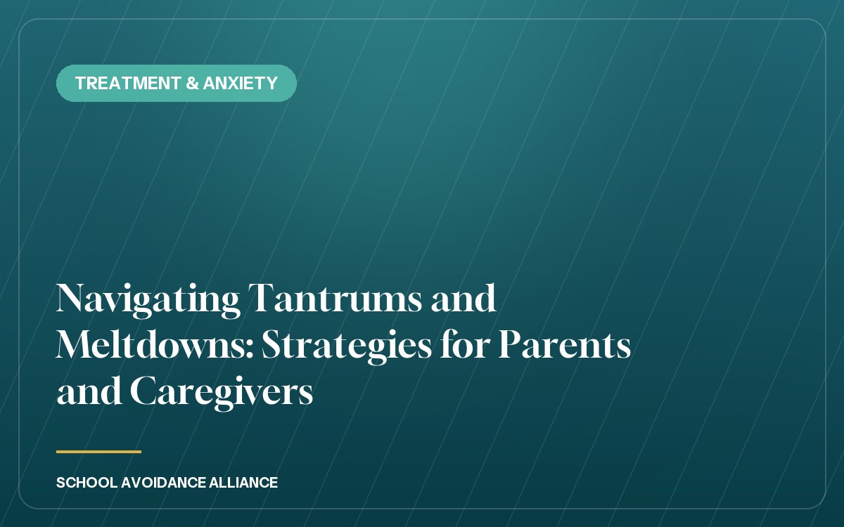 Navigating Tantrums and Meltdowns: Strategies for Parents and Caregivers